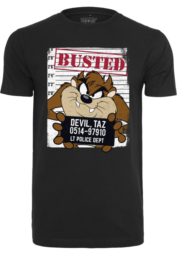 Looney Tunes - Taz Busted